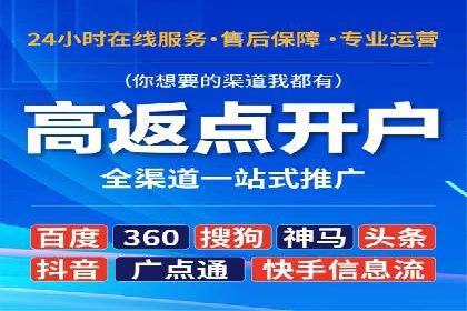 行业内的SEM竞价代运营公司优秀案例剖析