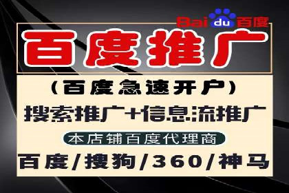 百度竞价广告运营实战：创意与执行的完美结合